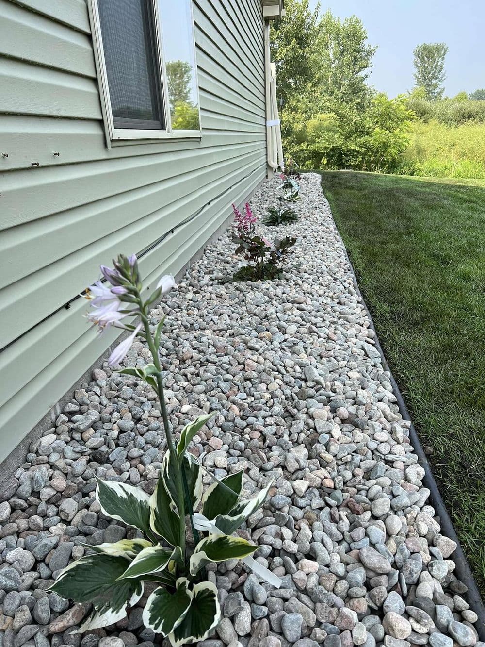 Flowering plants in a gravel landscape border alongside a house, with greenery in the background.