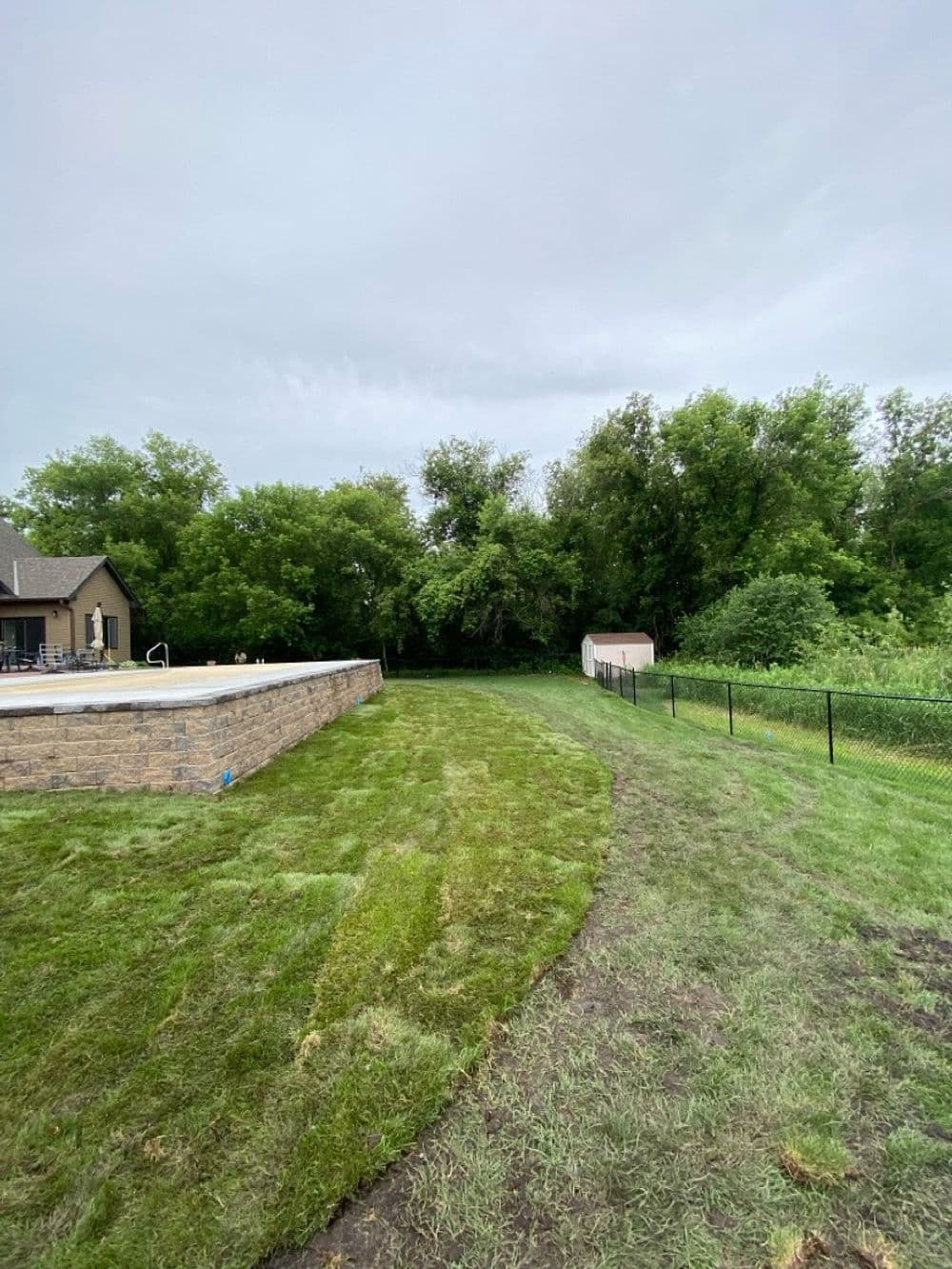 Lush green lawn with swimming pool and nearby trees in a serene backyard setting.